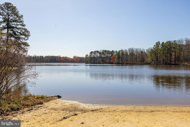 835 Campers Ln, Ruther Glen, VA 22546 - water view featuring a forest