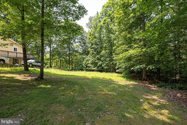 835 Campers Ln, Ruther Glen, VA 22546 - view of yard