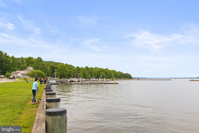 14842 Mason Creek Cir, Woodbridge, VA 22191 - dock featuring a water view and a yard