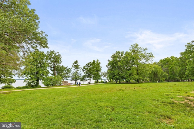 14842 Mason Creek Cir, Woodbridge, VA 22191 - view of green lawn