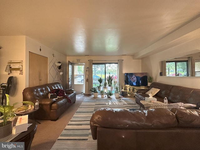 7525 Calvert St, Philadelphia, PA 19152 - living area featuring carpet floors