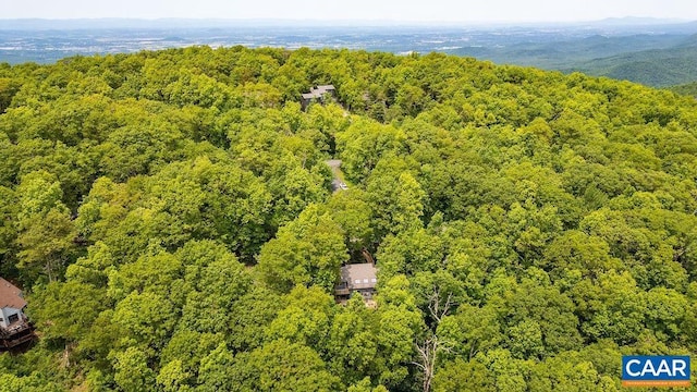 32 Stony Cove Ln, Wintergreen Resort, VA 22967 - bird's eye view of a heavily wooded area