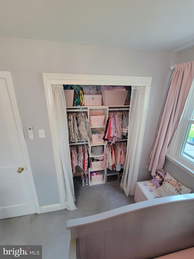 424 Exton Rd, Hatboro, PA 19040 - view of closet