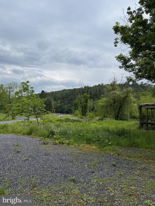 22015 Waterfall Rd, Three Springs, PA 17264 - view of street with a forest view