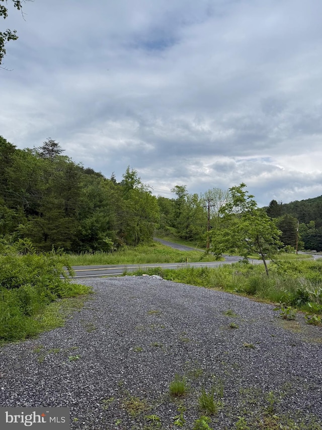 22015 Waterfall Rd, Three Springs, PA 17264 - view of street featuring a view of trees