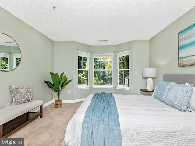 6505 Springwater Ct Unit 7103, Frederick, MD 21701 - carpeted bedroom featuring baseboards and a textured ceiling