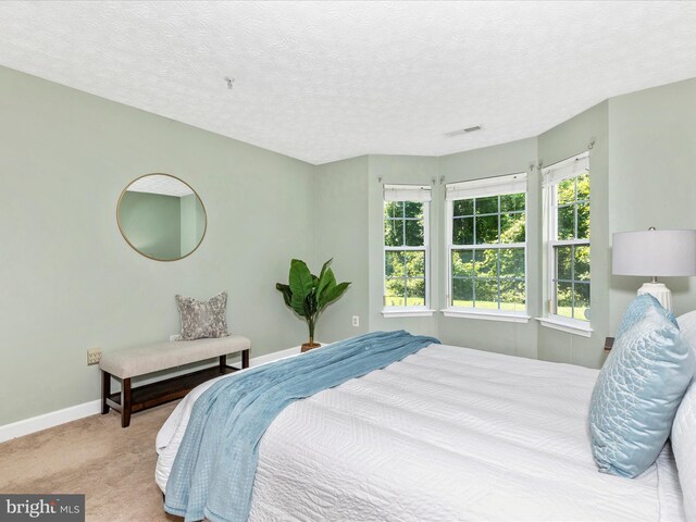 6505 Springwater Ct Unit 7103, Frederick, MD 21701 - carpeted bedroom with baseboards and a textured ceiling