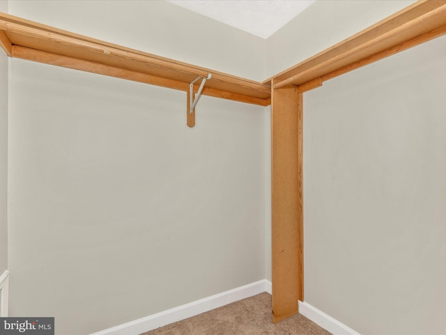 6505 Springwater Ct Unit 7103, Frederick, MD 21701 - walk in closet featuring light carpet