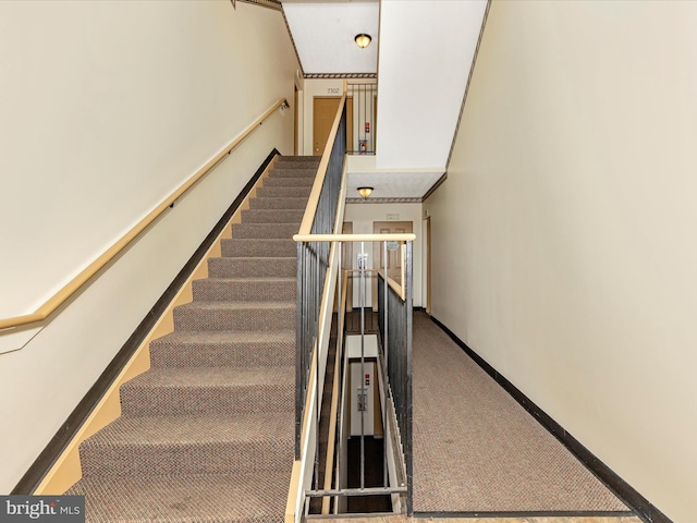 6505 Springwater Ct Unit 7103, Frederick, MD 21701 - stairway with carpet flooring and baseboards