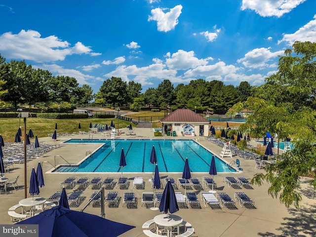 6505 Springwater Ct Unit 7103, Frederick, MD 21701 - community pool with a patio area