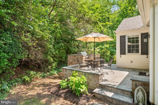 653 Broad Acres Rd, Penn Valley, PA 19072 - view of patio with outdoor dining area and a grill