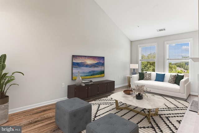 3851 Aristotle Ct Unit 1-412, Fairfax, VA 22030 - living area featuring wood finished floors and high vaulted ceiling