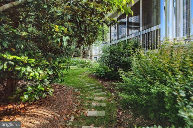 6321 Wilmington Dr, Burke, VA 22015 - view of yard