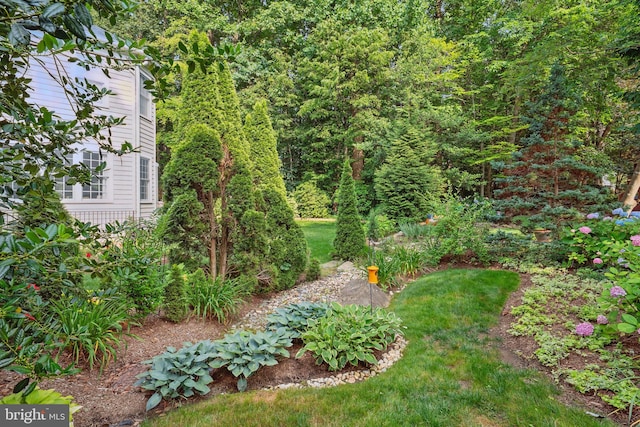 6321 Wilmington Dr, Burke, VA 22015 - view of yard