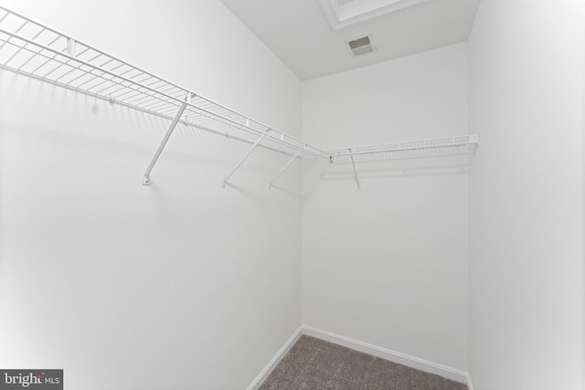 45571 Reading Ter, Sterling, VA 20166 - spacious closet with carpet floors