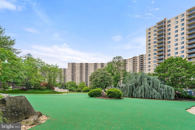 203 Yoakum Pkwy Unit 603, Alexandria, VA 22304 - view of community