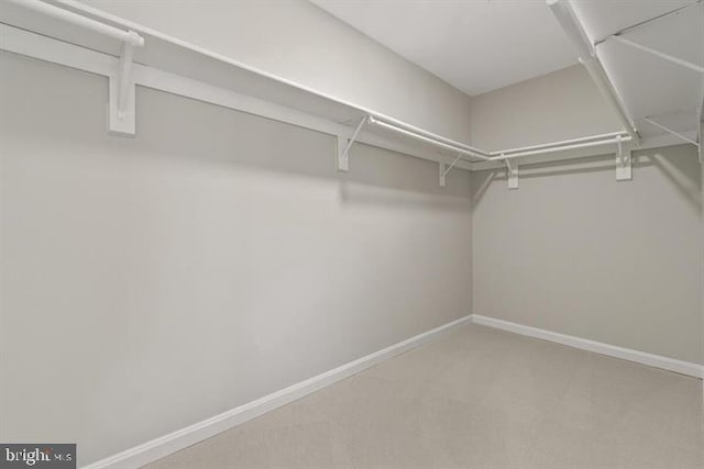 13017 Broadmore, Silver Spring, MD 20904 - spacious closet featuring carpet flooring