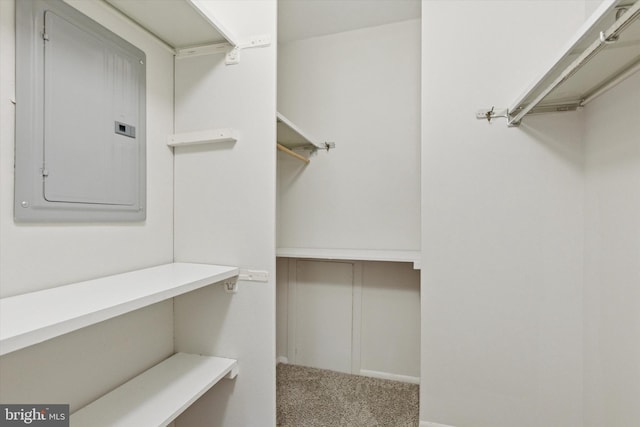 212 Old Forge Xing, Devon, PA 19333 - spacious closet with carpet floors and electric panel