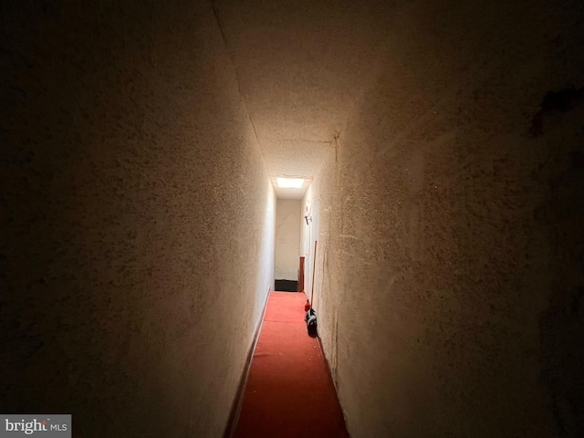 5427 Baltimore Ave, Philadelphia, PA 19143 - corridor with a textured wall