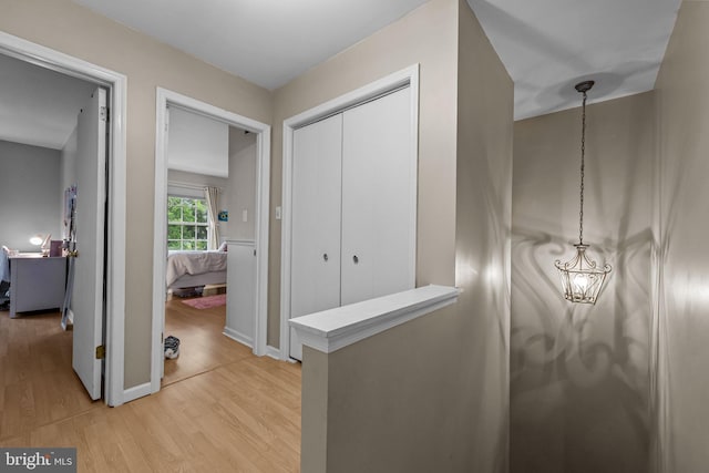 48 Deer Run Rd, Perkasie, PA 18944 - corridor featuring light wood-style floors and baseboards