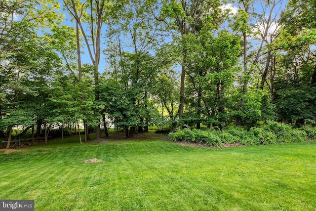 48 Deer Run Rd, Perkasie, PA 18944 - view of green lawn