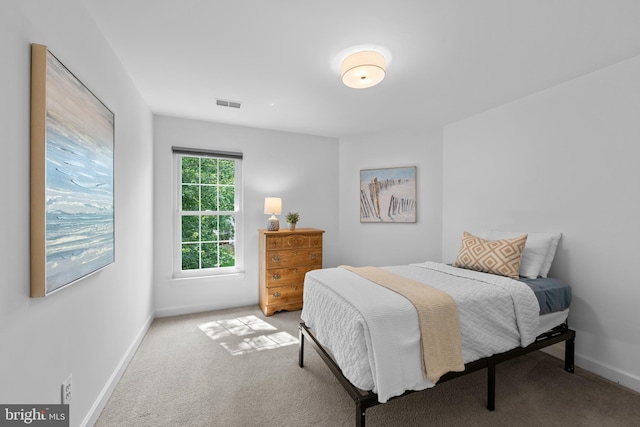 18722 Timoney Ct, Leesburg, VA 20176 - bedroom featuring baseboards and carpet flooring