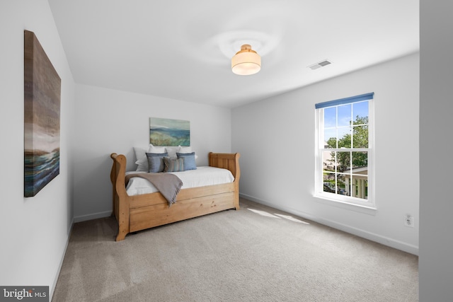 18722 Timoney Ct, Leesburg, VA 20176 - bedroom featuring carpet floors and baseboards