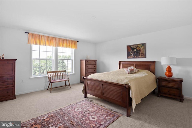 100 Taylor Ct, Stephenson, VA 22656 - bedroom featuring carpet floors and baseboards