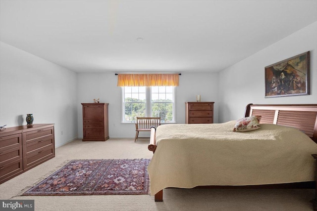 100 Taylor Ct, Stephenson, VA 22656 - bedroom featuring light colored carpet and baseboards