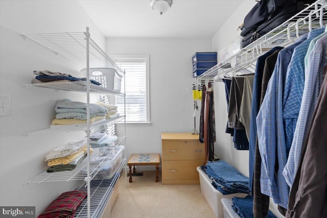 100 Taylor Ct, Stephenson, VA 22656 - spacious closet featuring carpet