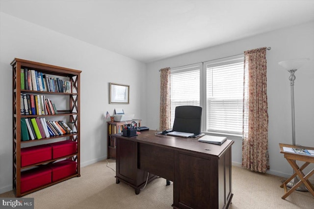 100 Taylor Ct, Stephenson, VA 22656 - home office featuring light colored carpet