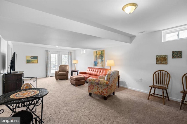 100 Taylor Ct, Stephenson, VA 22656 - carpeted living room featuring healthy amount of natural light