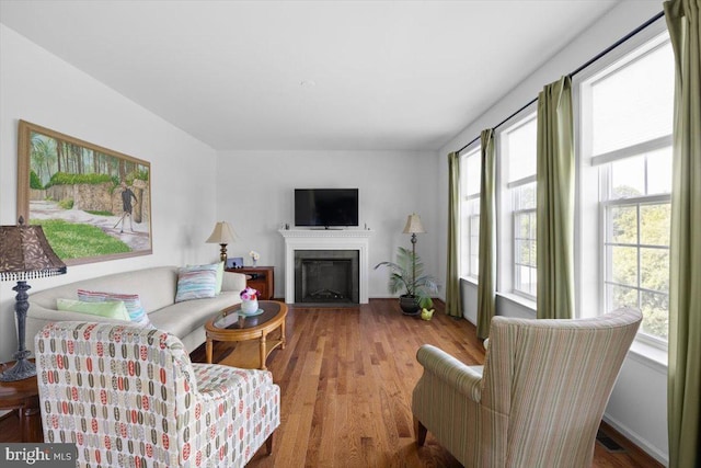 100 Taylor Ct, Stephenson, VA 22656 - living area featuring healthy amount of natural light, wood finished floors, and a fireplace