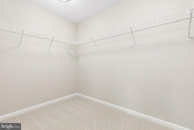 890 Shadows Dr, Front Royal, VA 22630 - spacious closet featuring light colored carpet