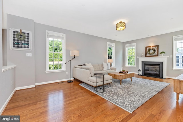 2304 Kings Forest Trl, Mount Airy, MD 21771 - living room featuring light wood-style flooring and a fireplace with flush hearth