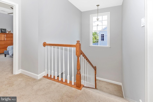 2304 Kings Forest Trl, Mount Airy, MD 21771 - stairs with carpet flooring and baseboards