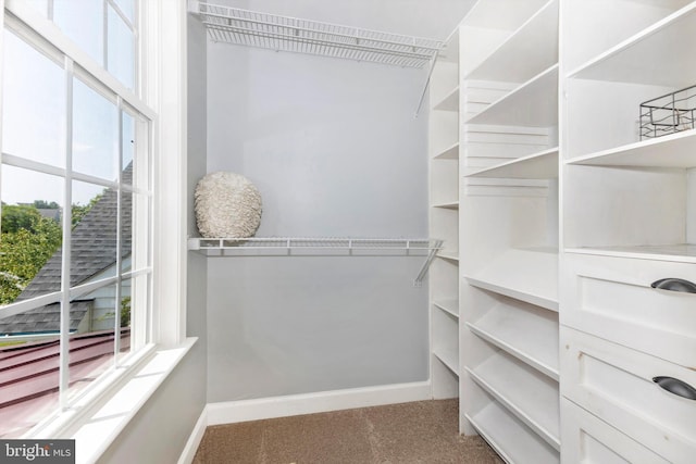 2304 Kings Forest Trl, Mount Airy, MD 21771 - view of spacious closet