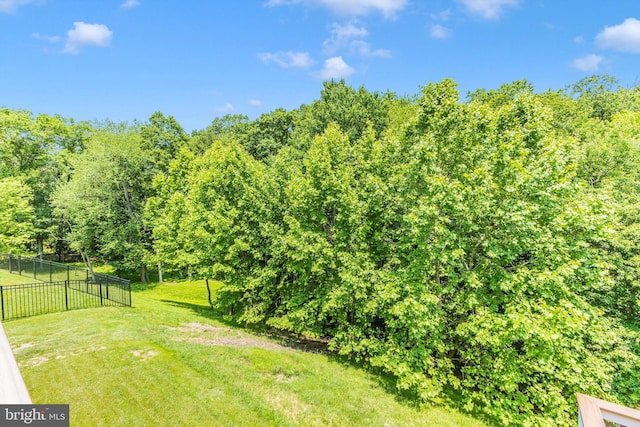 2304 Kings Forest Trl, Mount Airy, MD 21771 - view of yard