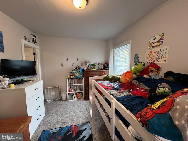 713 Juniper St, Quakertown, PA 18951 - bedroom with carpet