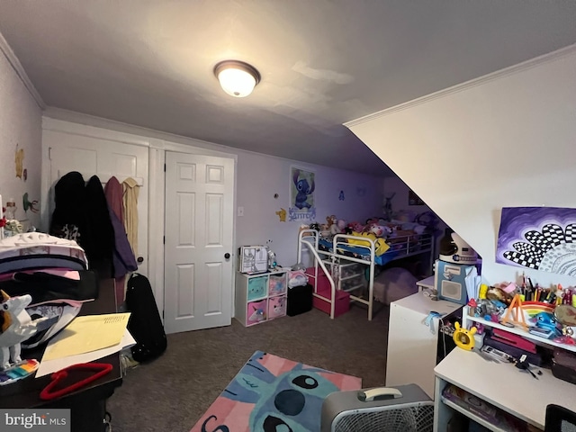 713 Juniper St, Quakertown, PA 18951 - rec room with carpet floors and ornamental molding