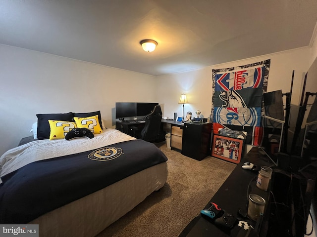 713 Juniper St, Quakertown, PA 18951 - bedroom featuring carpet flooring