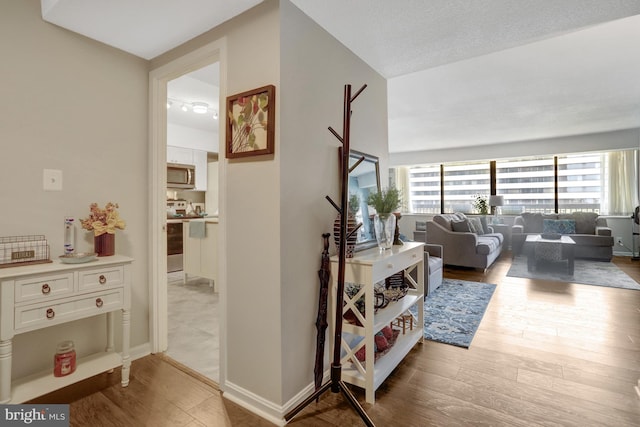 3713 S George Mason Dr Unit 713, Falls Church, VA 22041 - hallway with wood finished floors and plenty of natural light