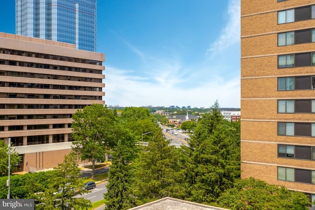 3713 S George Mason Dr Unit 713, Falls Church, VA 22041 - view of city