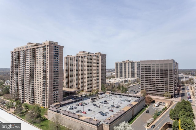 3713 S George Mason Dr Unit 713, Falls Church, VA 22041 - city view