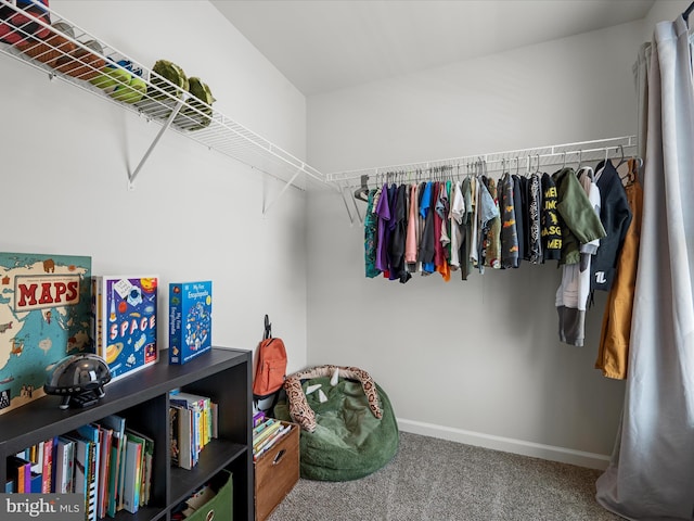 104 Barrister St, Stephenson, VA 22656 - spacious closet with carpet floors