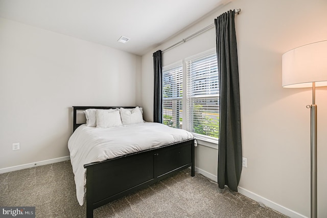 1763 Hickory Woods Rd, Dumfries, VA 22026 - carpeted bedroom with baseboards