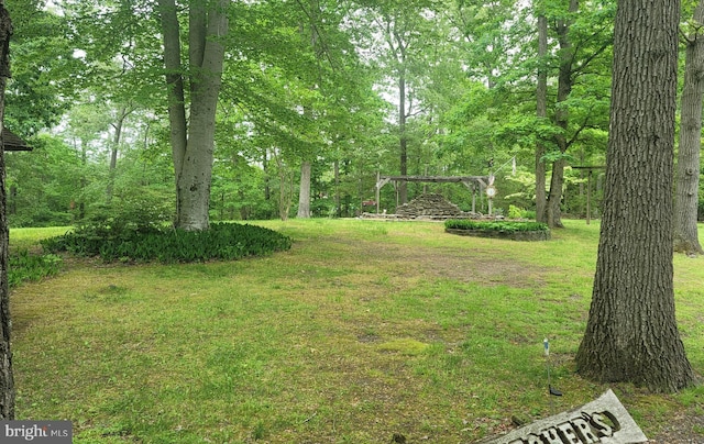 16002 Letcher Rd, Brandywine, MD 20613 - view of grassy yard