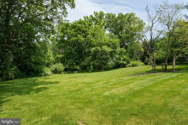 58 Haas Rd, Basking Ridge, NJ 07920 - view of green lawn
