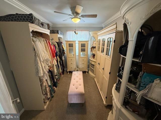 1397 Dennis Rd, Southampton, PA 18966 - spacious closet featuring ceiling fan and carpet flooring
