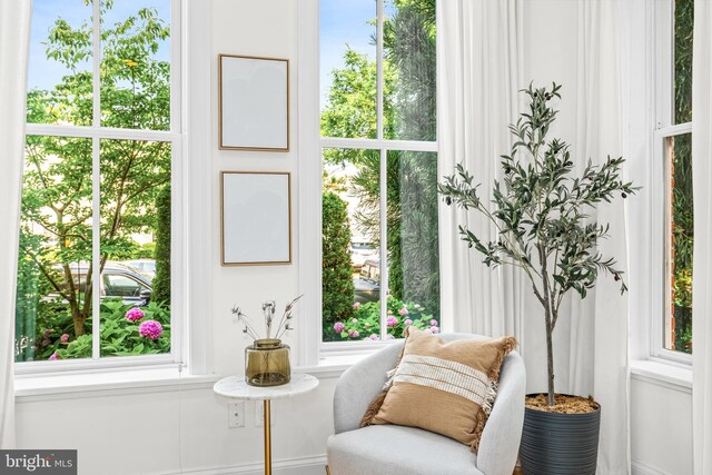 1235 S St NW Unit 1, Washington, DC 20009 - living area with plenty of natural light